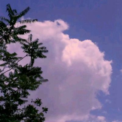 澳门·威斯尼斯wns888入口手机app下载